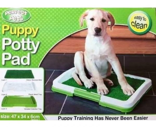 BAÑO ECOLOGICO PARA MASCOTAS - Imagen 5