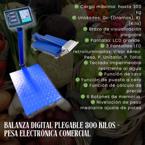 BALANZA DE 300 KILOS - Imagen 3